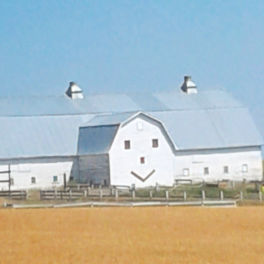 Soft Regionalist Barnscape