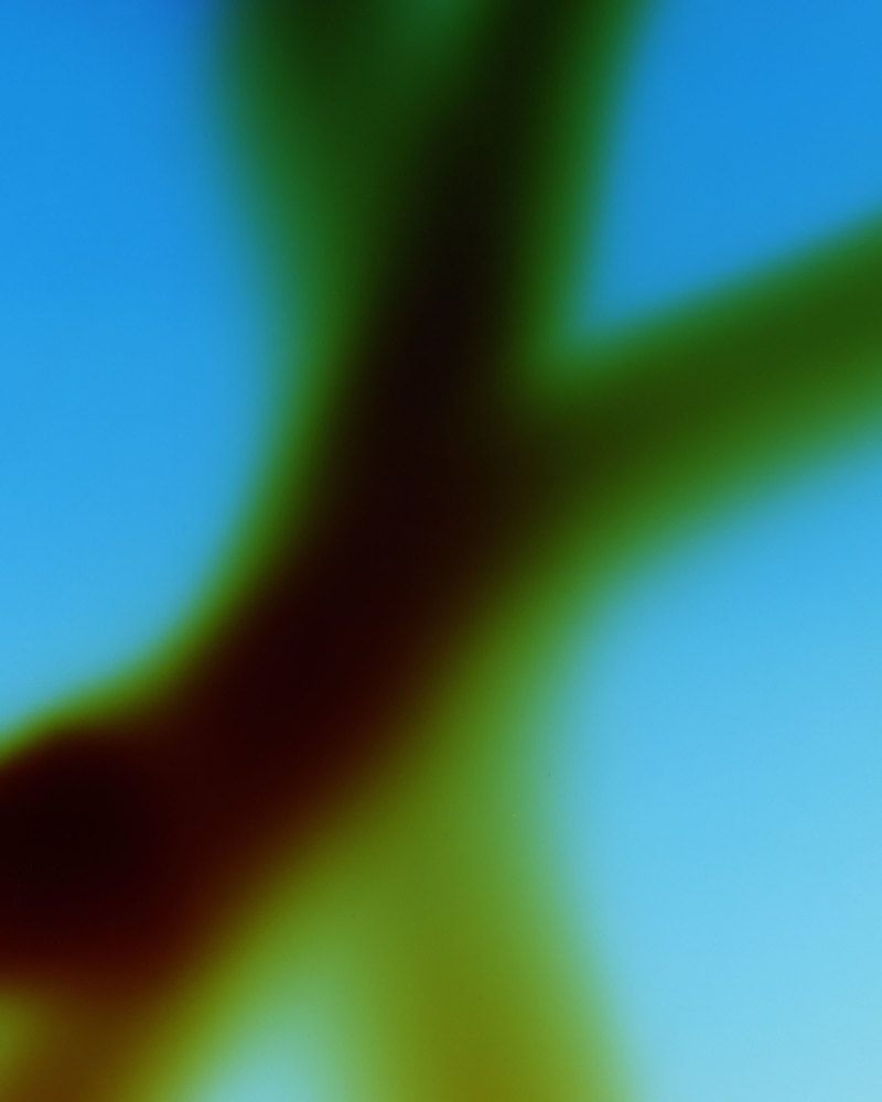 Soft Cyan Green Blur