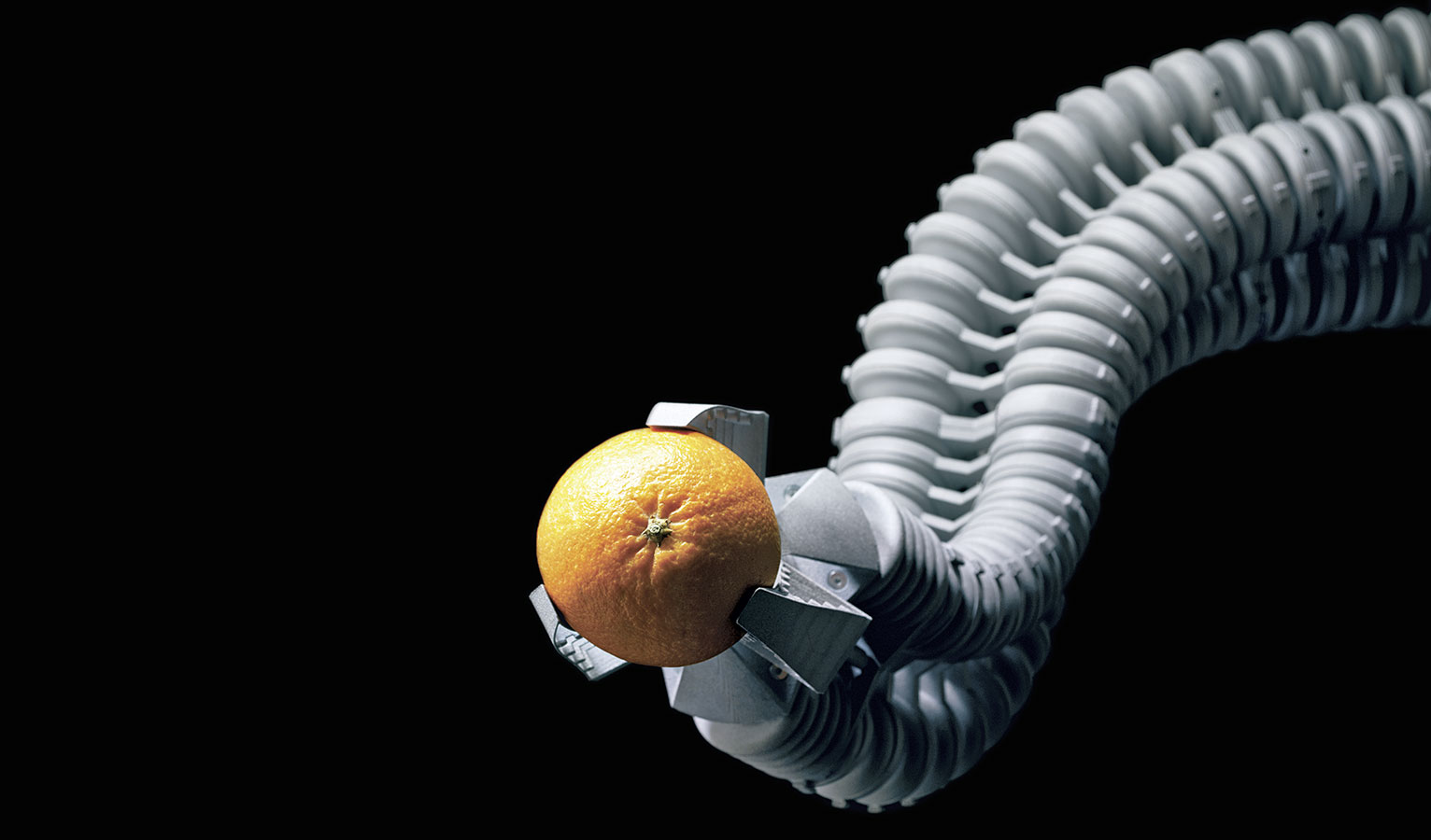 Mechanical Citrus in Black Void