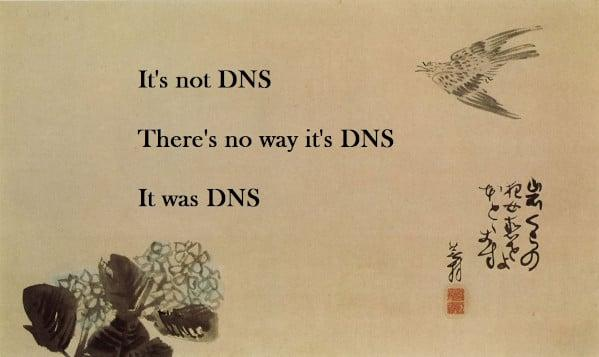 It was DNS meme over Hydrangea and Swallow