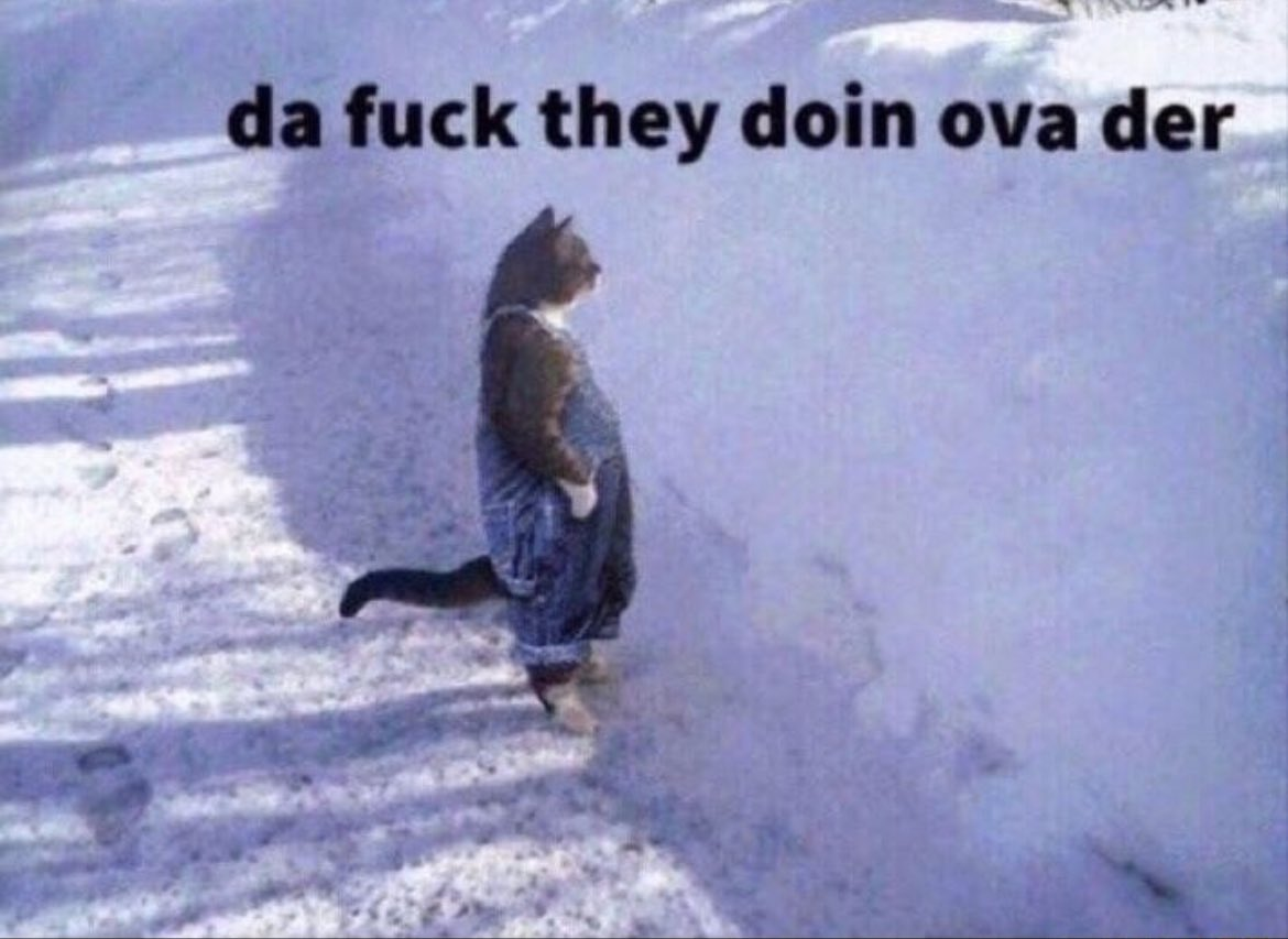 Da fuck they doin ova der cat meme